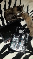 ������ � �������� �������